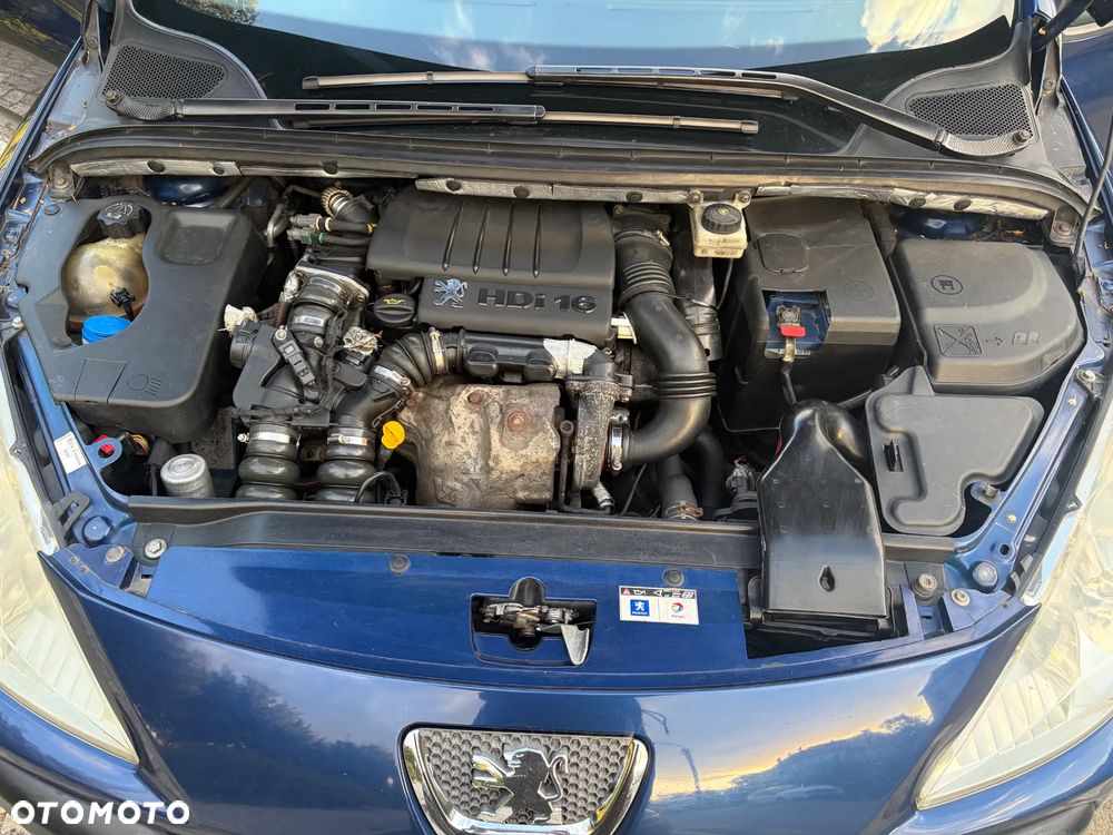 Peugeot 307 - 9