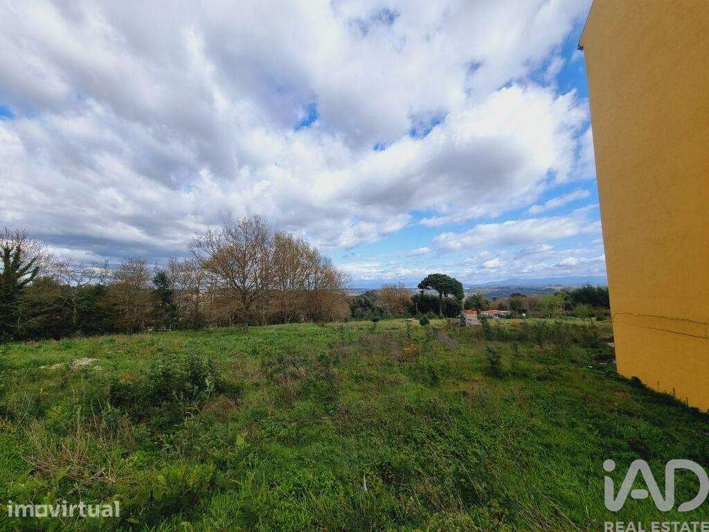 Terreno para construção em Santa Comba Dão e Couto do Mosteiro - Grande imagem: 4/8