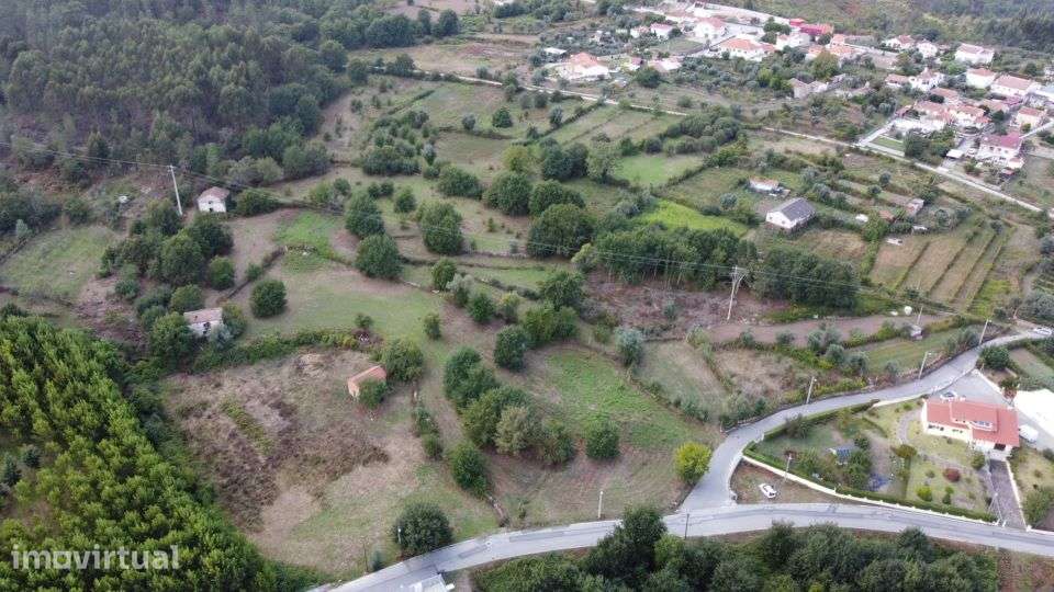Quinta c/ 40.000m2- VOUZELA - Grande imagem: 2/33