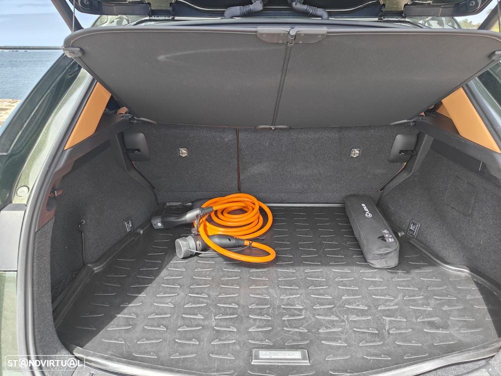 Lexus NX 450h+ Luxury - 18