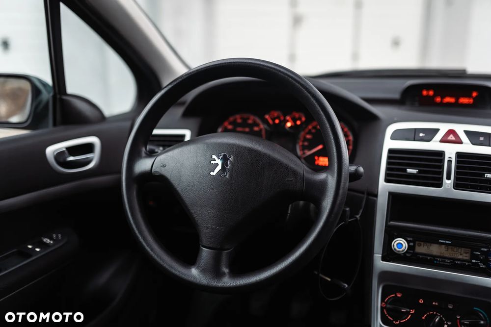 Peugeot 307 - 13