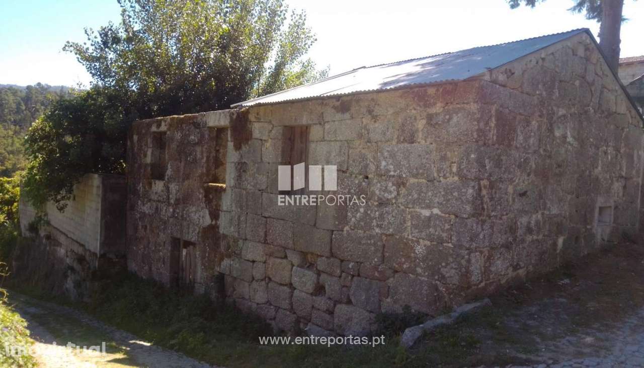 Venda Terreno com 3660 m2, Souselo, Cinfães - Grande imagem: 2/30