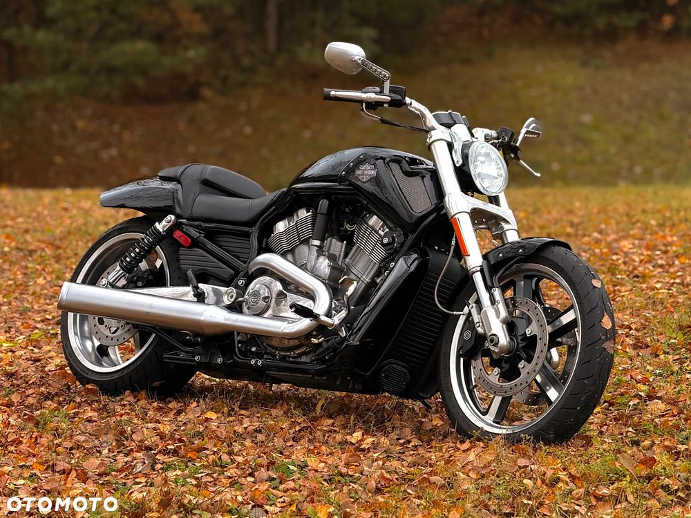 Harley-Davidson V-Rod Muscle - 1
