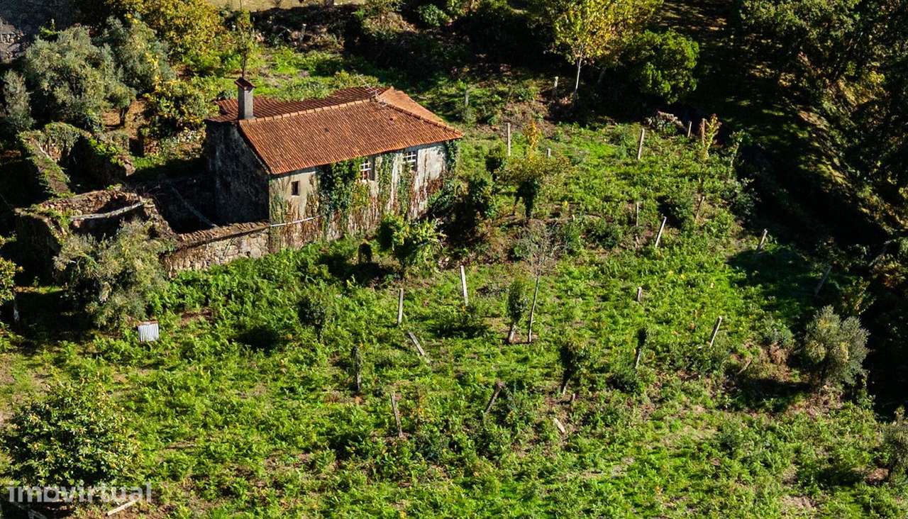 Moradia em Pedra para restauro com 2.814m2 de Terreno – Covas, V.N. Ce - Grande imagem: 4/31