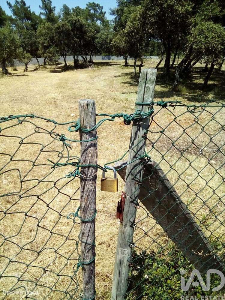 Terreno em Malhou, Louriceira e Espinheiro de 5620,00 m2 - Grande imagem: 4/18
