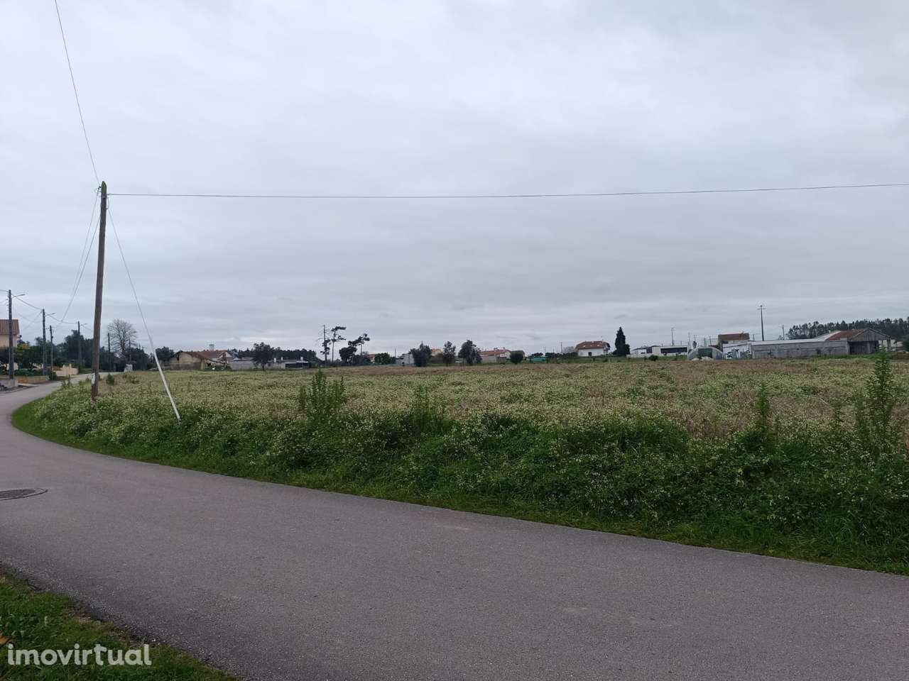 Terreno  Venda em Louriçal,Pombal - Grande imagem: 5/6
