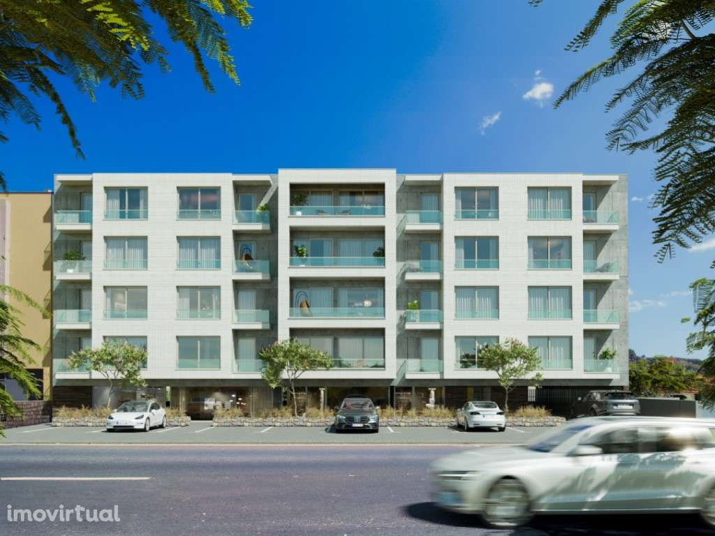 T1 novo na Ribeira Brava - Grande imagem: 3/9