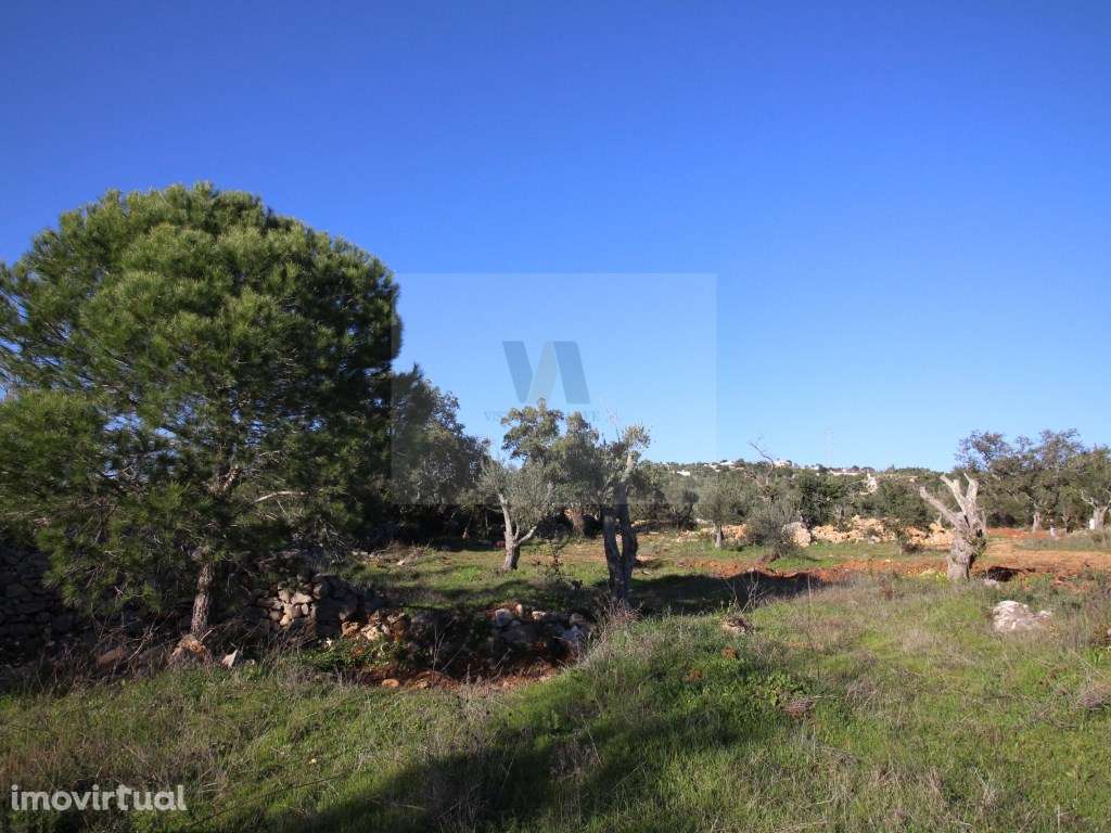 Casa tipica a 2kms do centro - Grande imagem: 3/20