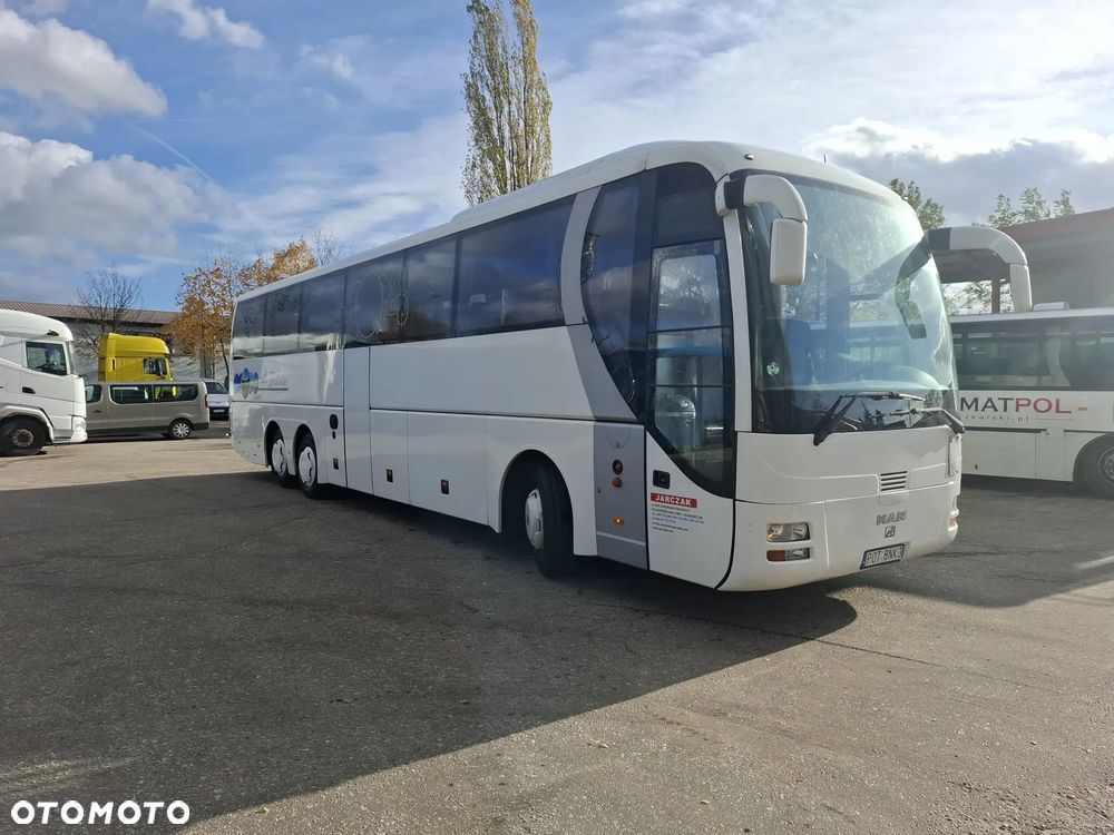 MAN LION'S COACH - 7