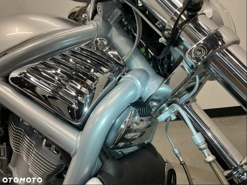 Harley-Davidson Softail V-Rod - 8