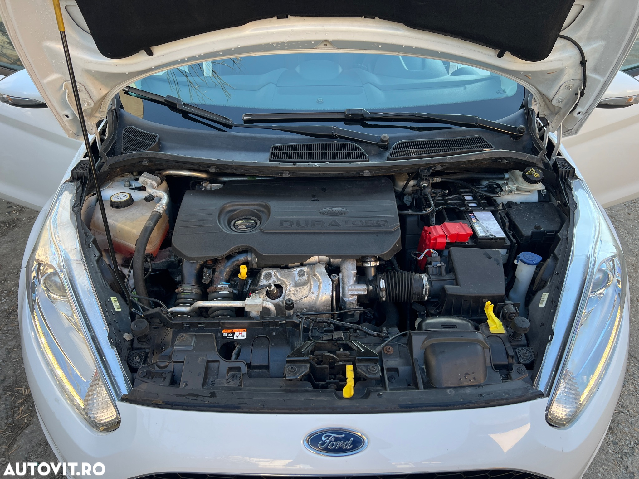 Ford Fiesta 1.5 TDCi Trend - 5