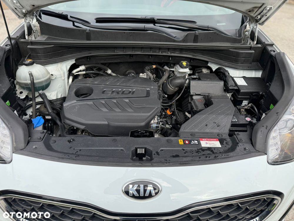 Kia Sportage 1.6 CRDI AWD Eco-Dynamics+ (48V M-H) DCT Black Edition - 30