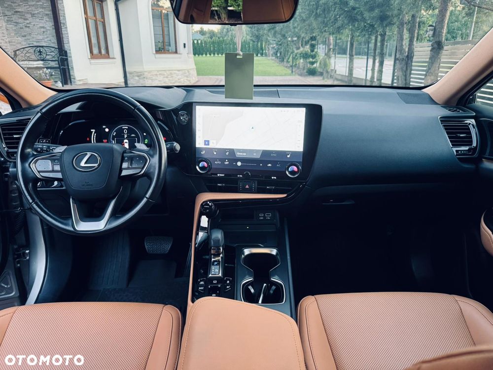 Lexus NX - 21