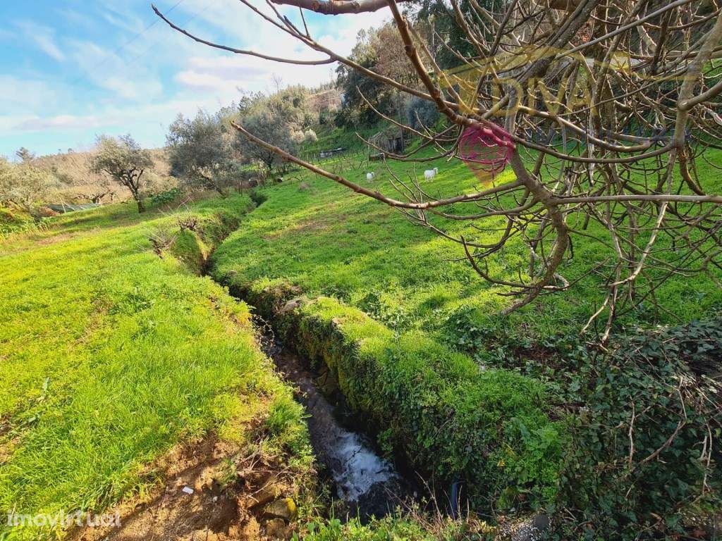 Terreno para construção de moradia em Figueiró dos Vinhos - Grande imagem: 2/18