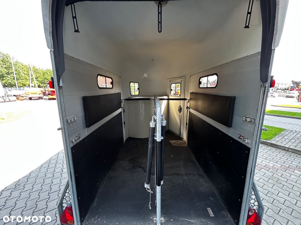 Cheval Liberte Gold 3 - 10