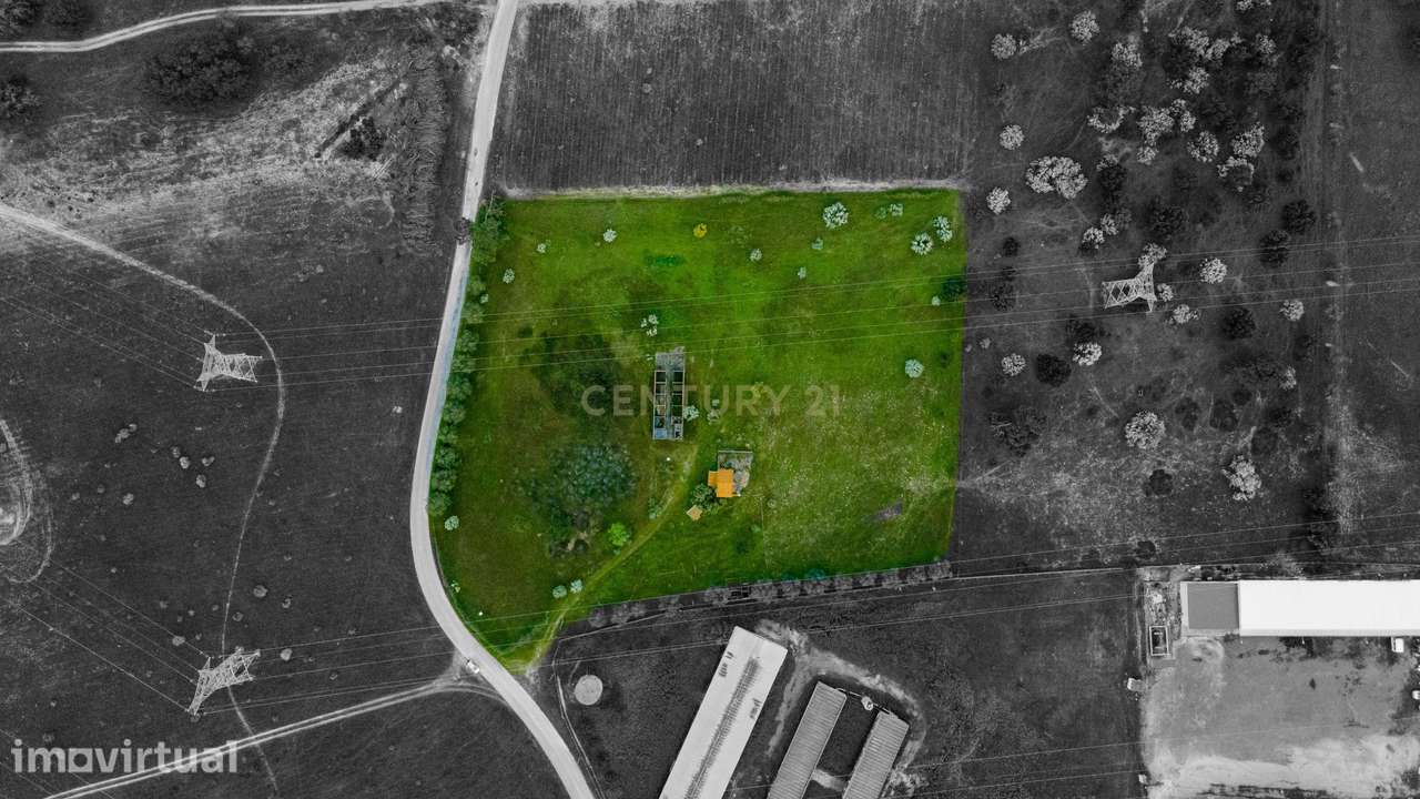 Terreno com Enquadramento Industrial no PDM - 9.700 m² Área Industrial - Grande imagem: 3/9