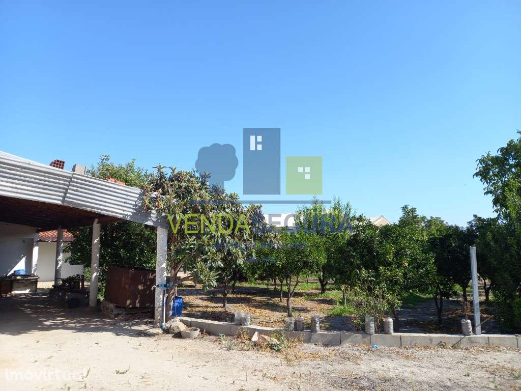 Terreno Agrícola com armazém | Pias - Grande imagem: 5/24