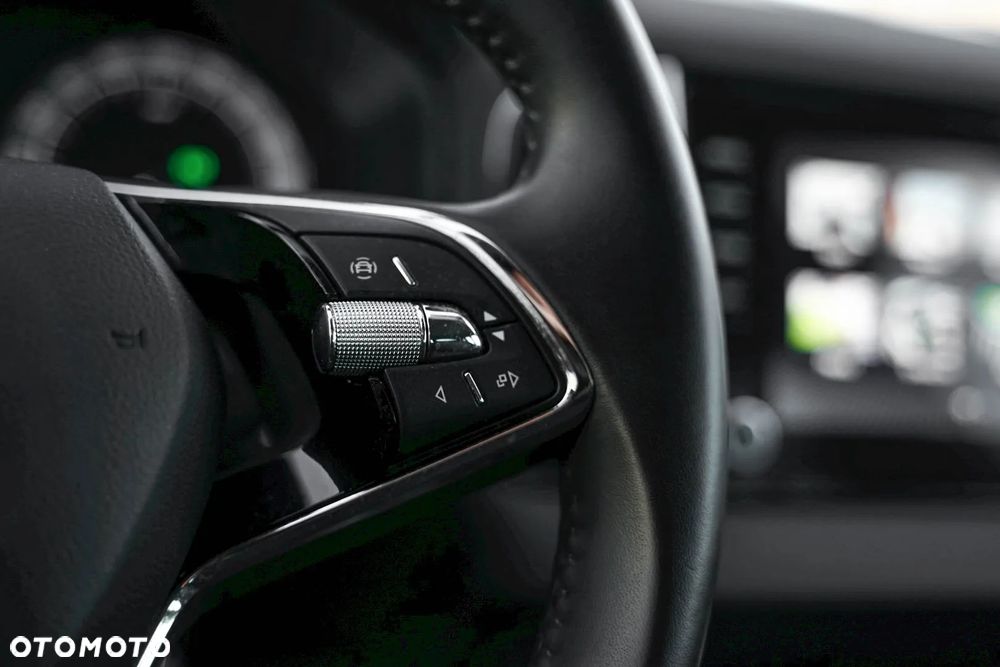 Skoda Karoq 2.0 TDI SCR 4x2 Ambition DSG - 20