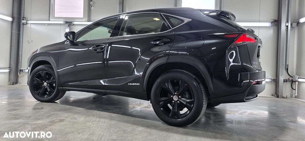 Lexus Seria NX 300h AWD Luxury - 16