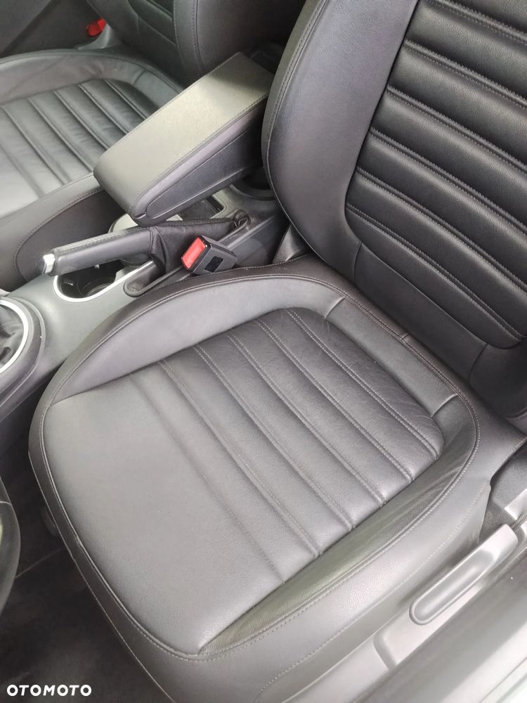 Volkswagen Beetle - 10