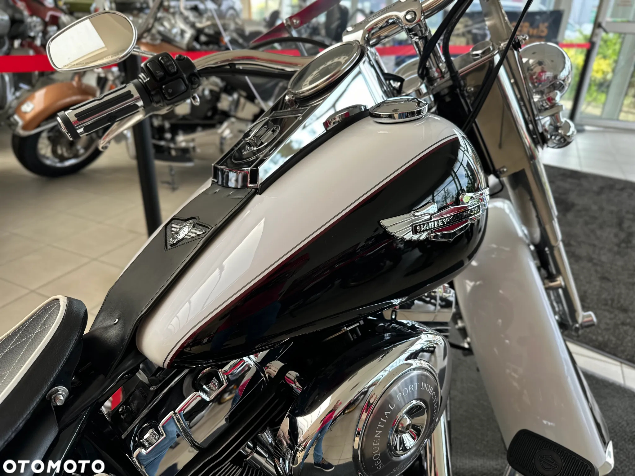 Harley-Davidson Softail - 16