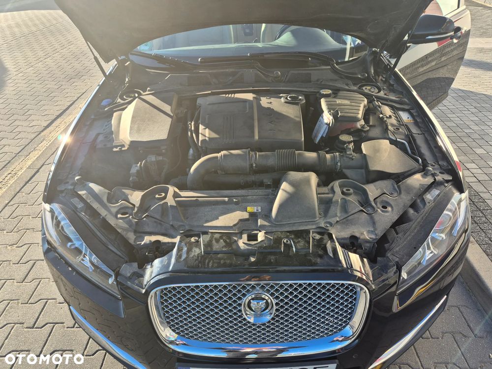 Jaguar XF 2.2 D - 16