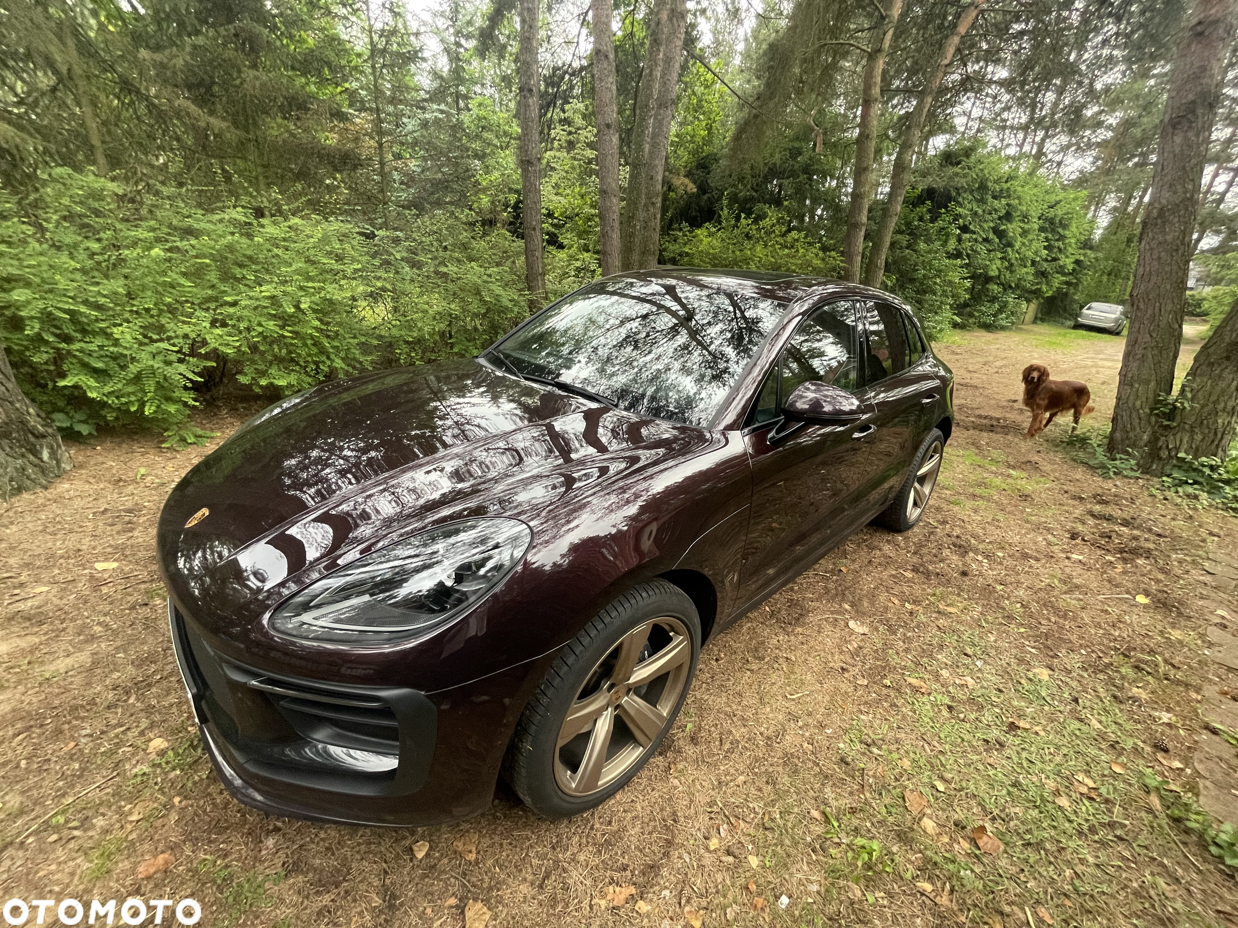 Porsche Macan T - 11