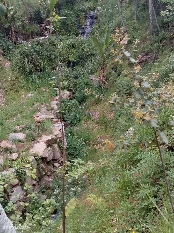 Terreno em Espiunca, Arouca, ideal para investimento turístico - Grande imagem: 5/11
