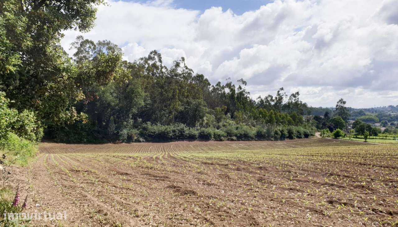 Venda de Terreno, Vilarinho das Cambas, Vila Nova de Famalicão - Grande imagem: 4/15