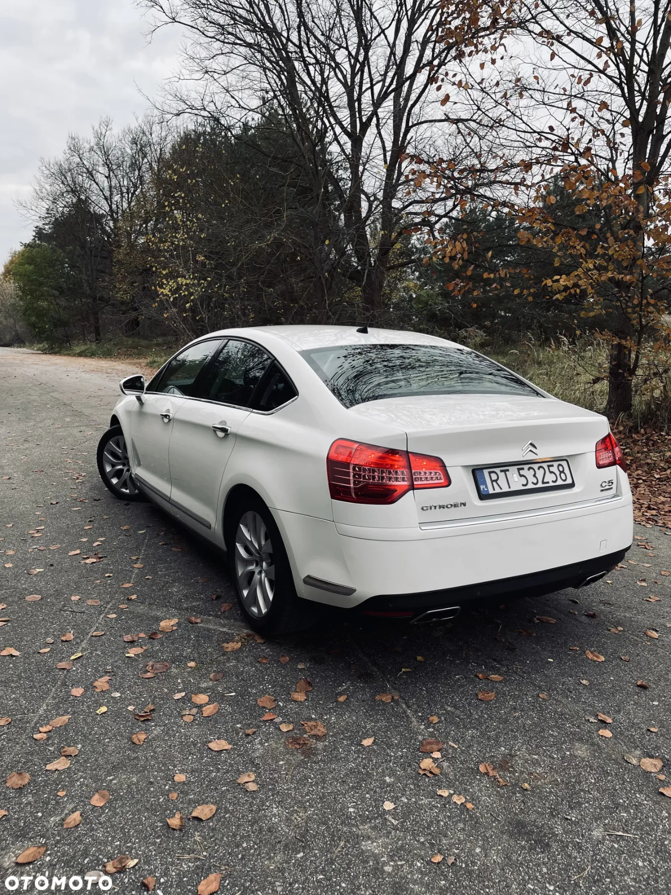 Citroën C5 3.0 HDi V6 Exclusive - 4