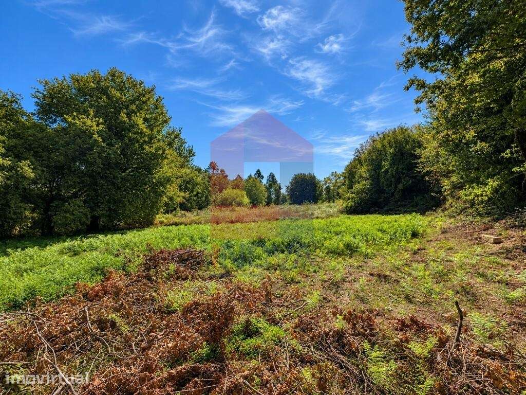 Terreno agrícola,  Escariz São Mamede - Grande imagem: 2/13
