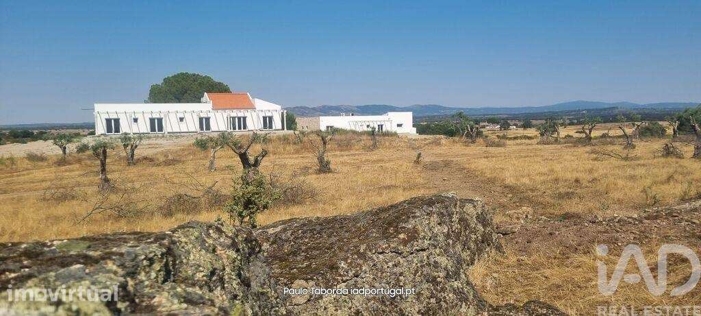 Quinta rural T6 em Alpalhão de 480 m2 - Grande imagem: 3/33