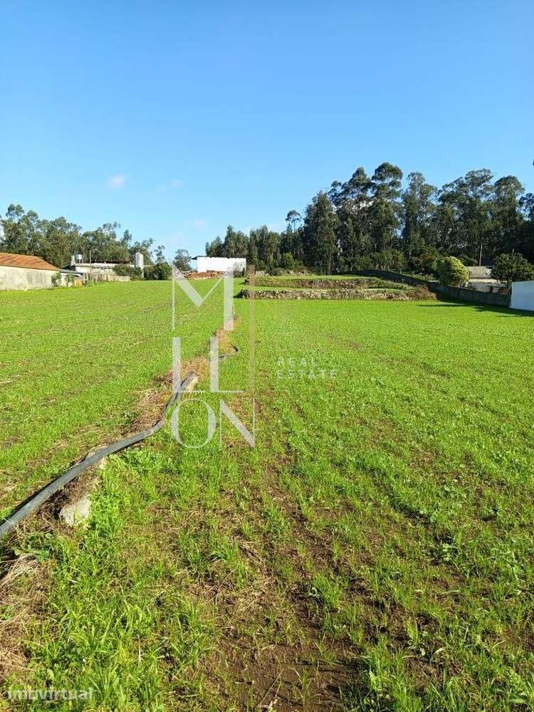 Terreno com características de génese rural, inserido em zona predomin - Grande imagem: 3/7