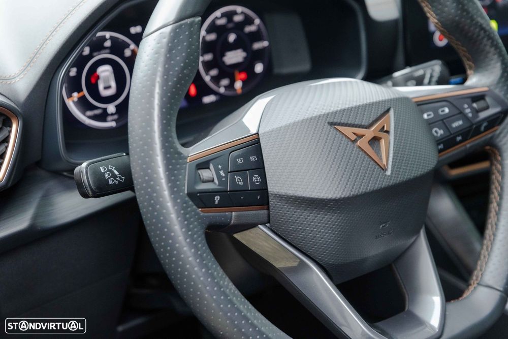 Cupra Formentor 2.0 TDI - 42