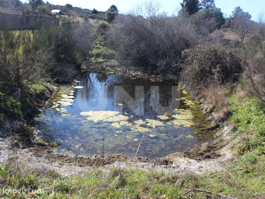 Quinta para Venda em Aldeia do Bispo, Penamacor - Grande imagem: 5/22