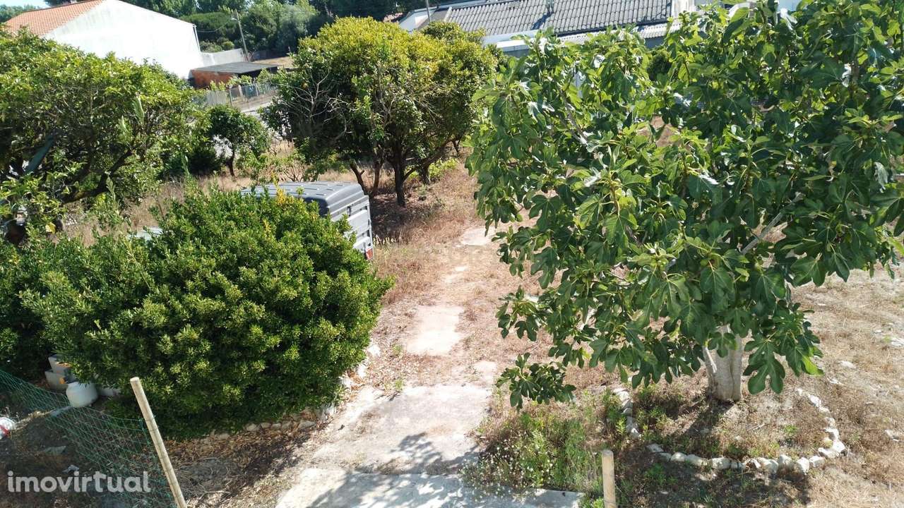 Terreno Rústico para Venda – Outeirinhos, Marinha Grande - Grande imagem: 2/4