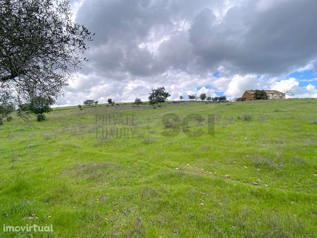 Quinta no Alentejo com duas habitações - Grande imagem: 4/60