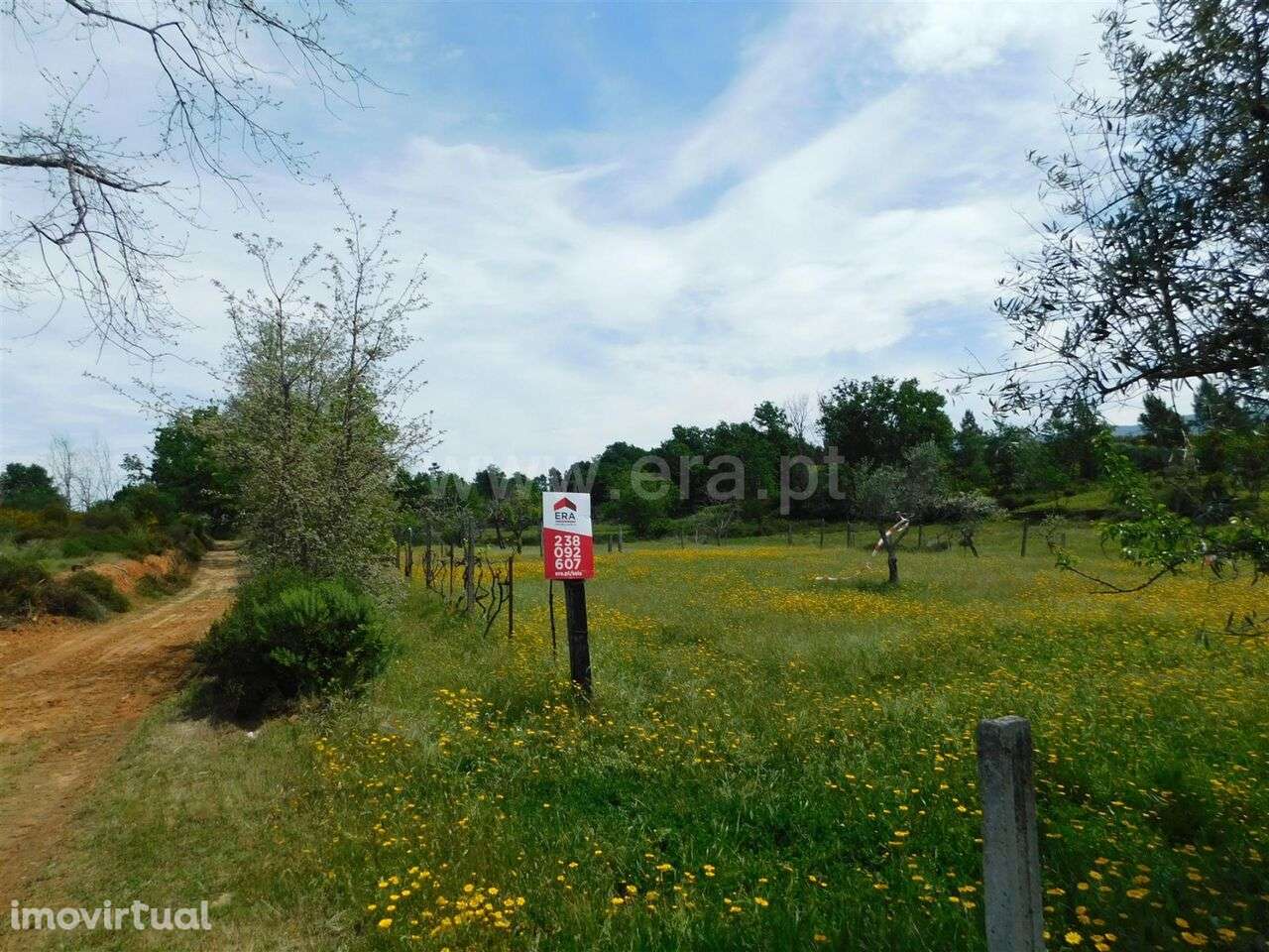 Terreno / Seia, Sameice e Santa Eulália - Grande imagem: 3/15