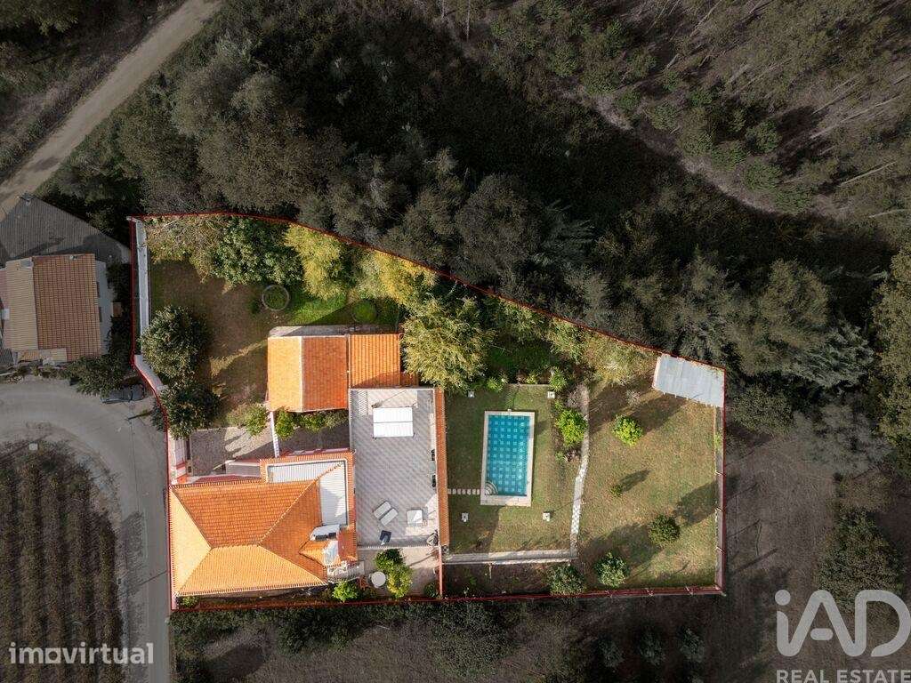 Casa / Villa T5 em Bustos, Troviscal e Mamarrosa de 383 m2 - Grande imagem: 5/40