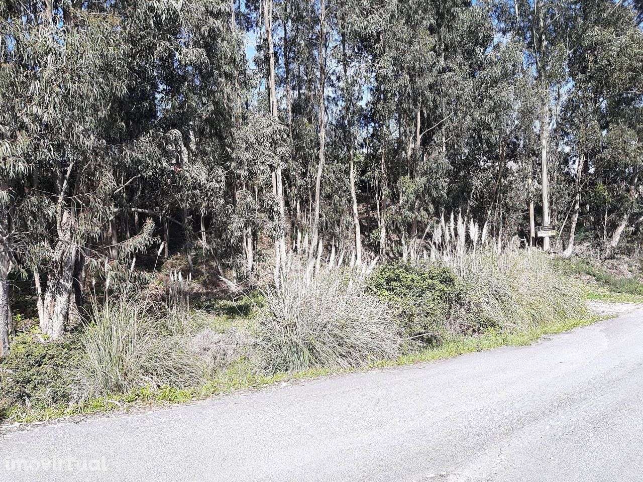 Vende terreno 890m2 zona de construção Canelas Penafiel - Grande imagem: 5/9