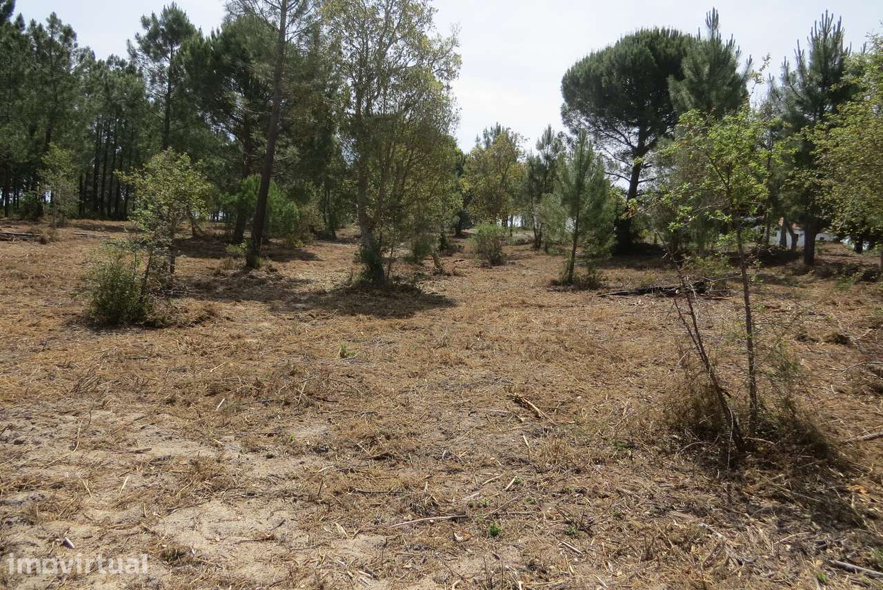 Terreno rústico de 17.000 m² em Melides - Grande imagem: 4/12