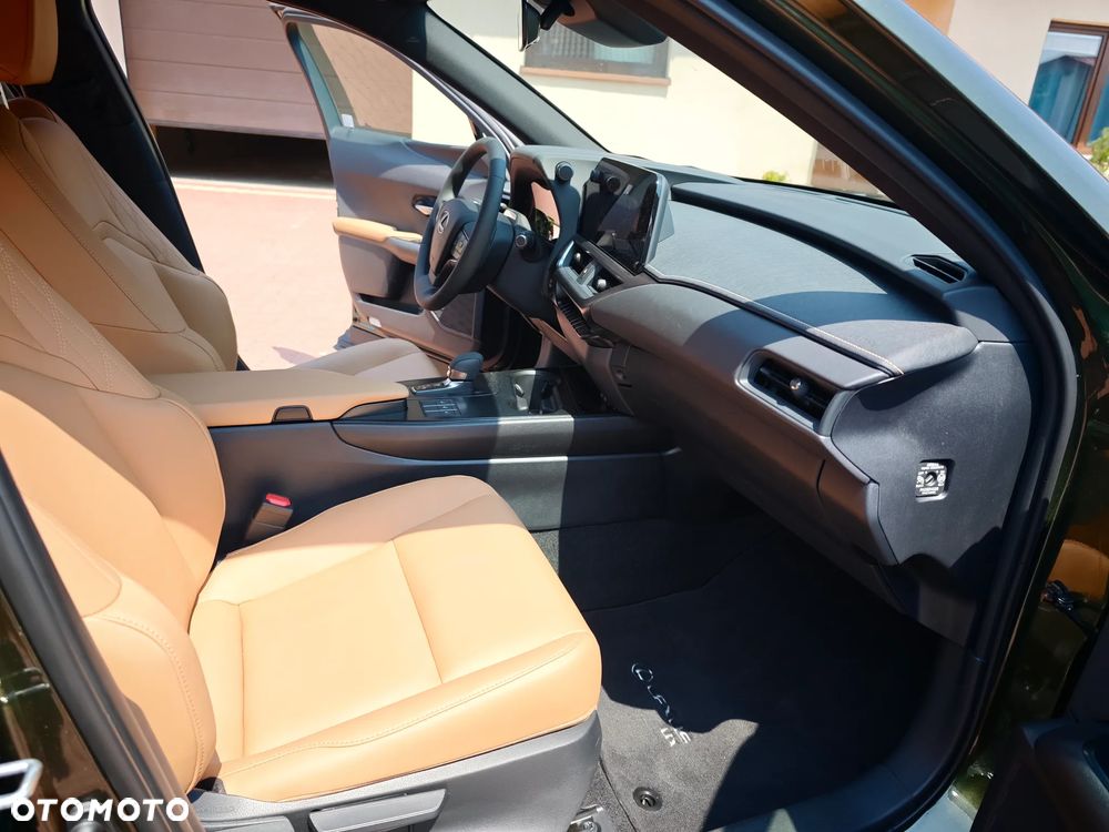 Lexus UX - 19