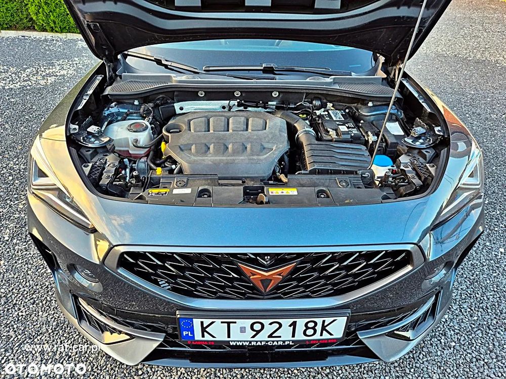 Cupra Formentor 2.0 TSI 4Drive DSG - 34