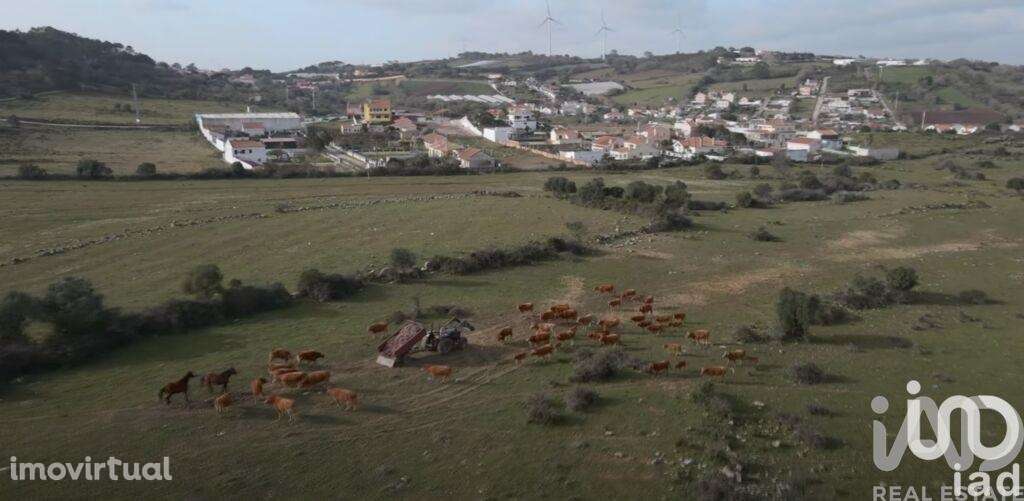Terreno para construção em Almargem do Bispo, Pêro Pinheiro e Montelav - Grande imagem: 5/22