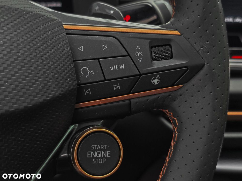 Cupra Terramar - 21