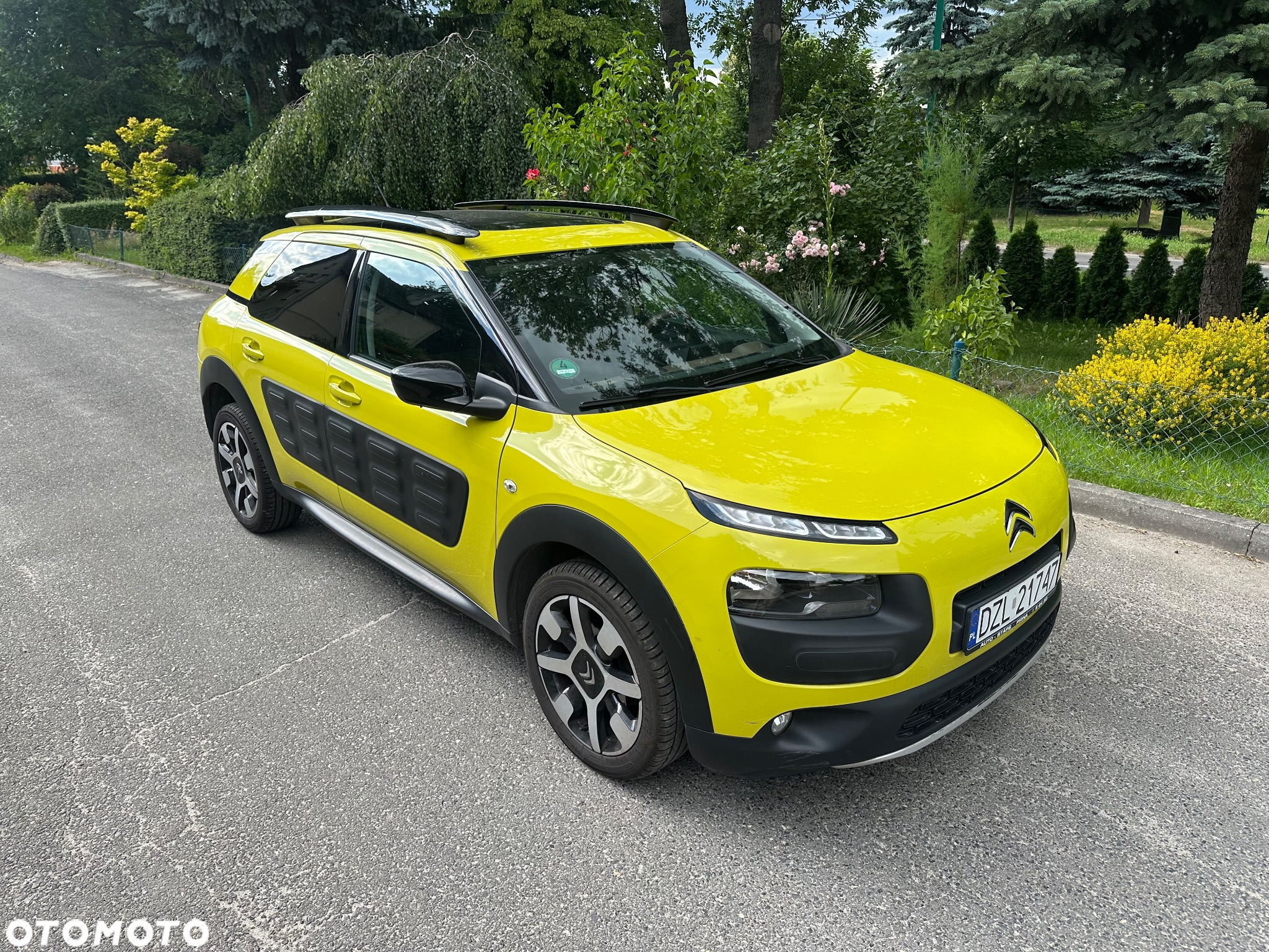 Citroën C4 Cactus 1.2 PureTech Shine Edition S&S - 17