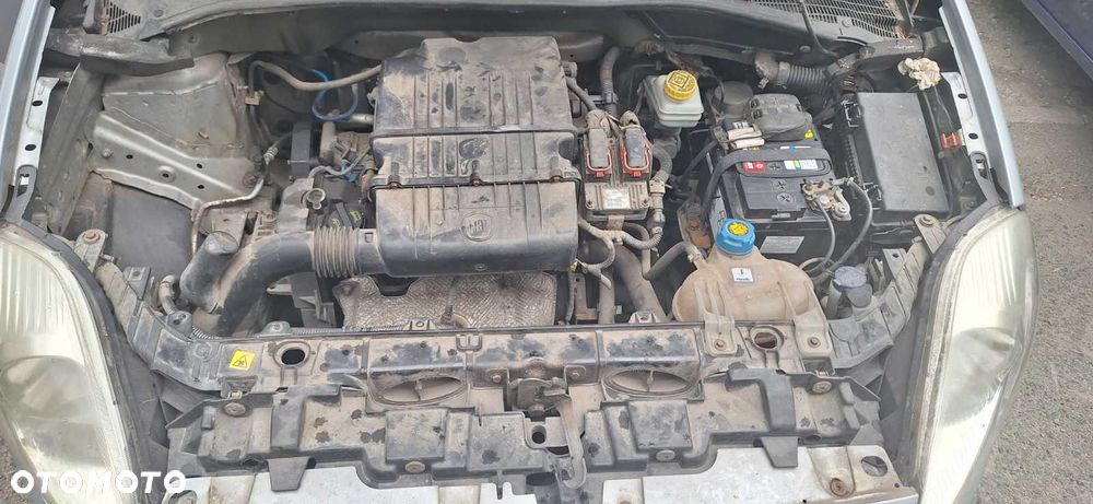Fiat Punto - 6