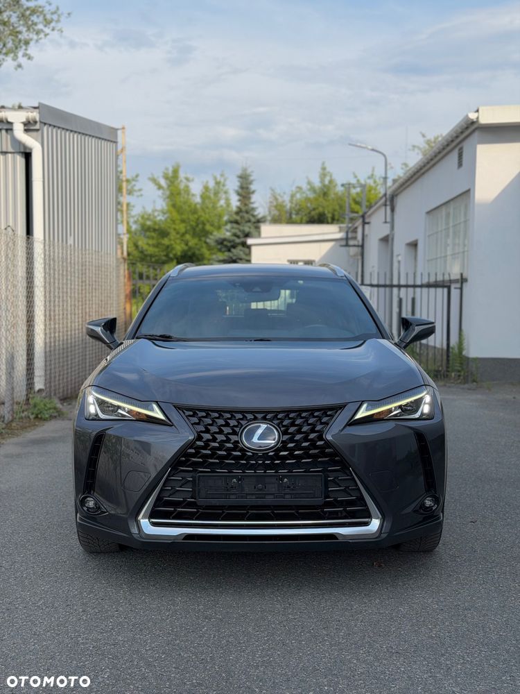Lexus UX 250h Prestige 2WD - 3