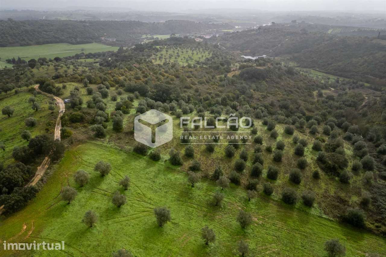 Terreno Misto  Venda em Pernes,Santarém - Grande imagem: 4/26