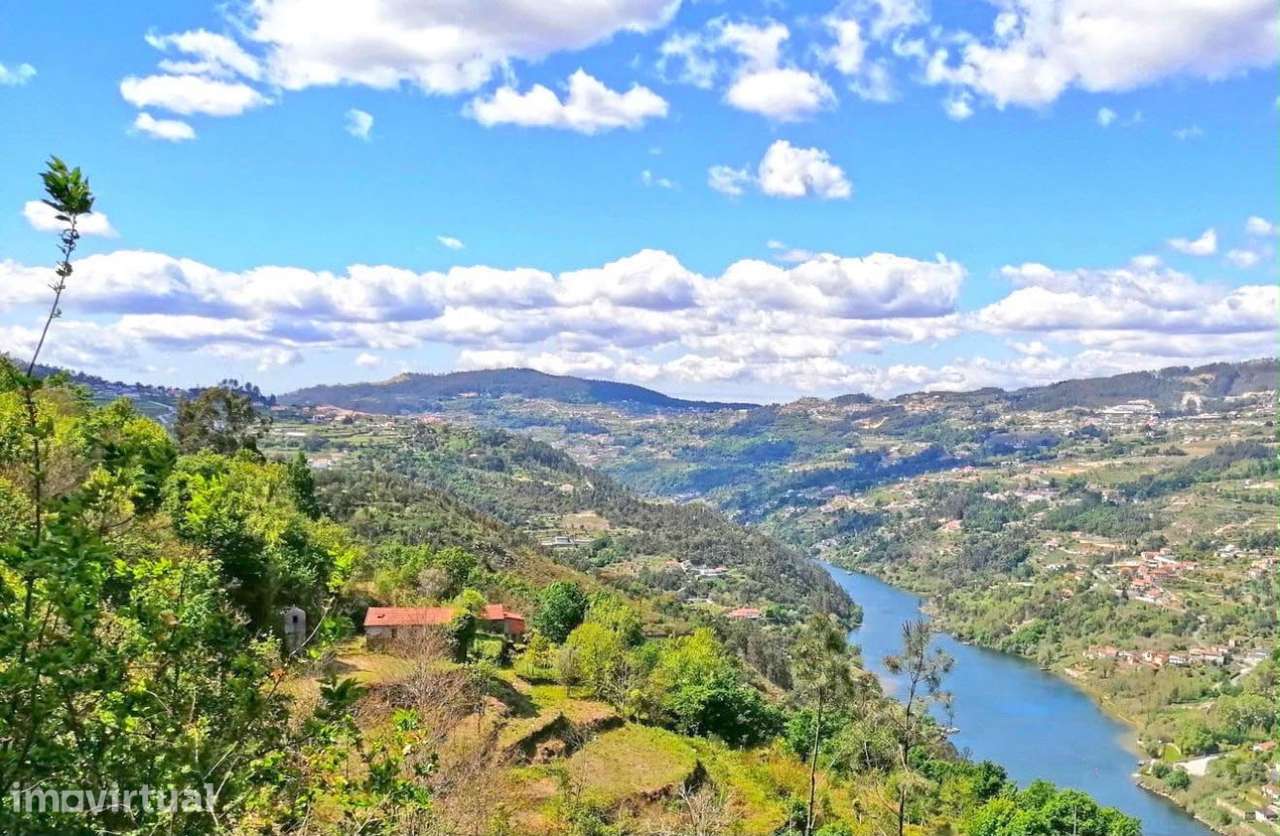 Quinta no Douro para Turismo Rural